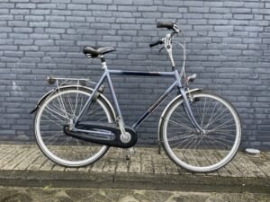 Gazelle Orange Blauw Glans Heren