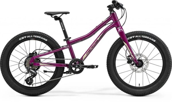 Merida Matts J.24 Paars Mat