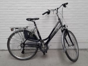 Batavus Cayuca Grijs Glans Dames