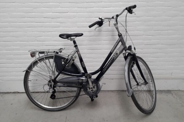 Batavus Cayuca Grijs Glans Dames
