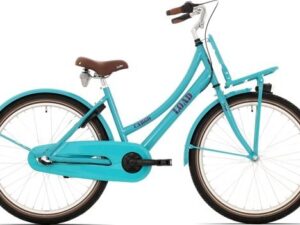 Bikefun Cargo Load Turquoise Glans 20 Meisjes