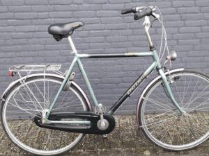 Gazelle Orange Groen Glans Heren