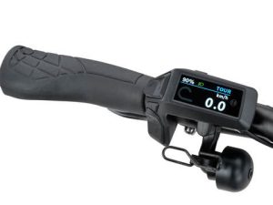 Sparta D-Rule Energy BRIGHT TURQUOISE MATTE Dames