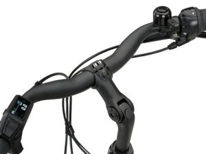 Batavus Altura CP Light Sea Green Matt Dames