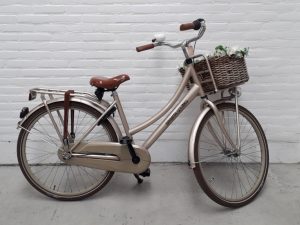 Sparta Pick Up Goud Glans 26 Meisjes