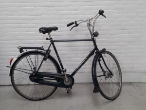 Gazelle Superieur Special Groen Glans Heren