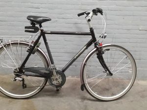 Gazelle Riacho Grijs Glans Heren