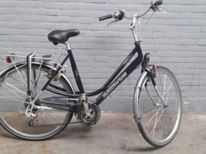 Batavus Kayenta Blauw Glans Dames