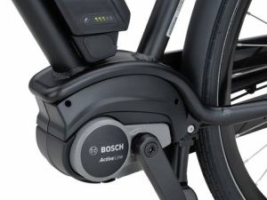 Batavus Quip E-go Plus Zwart Mat Lageinstap