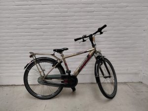 Batavus Dragon Goud Glans 3 Jongens